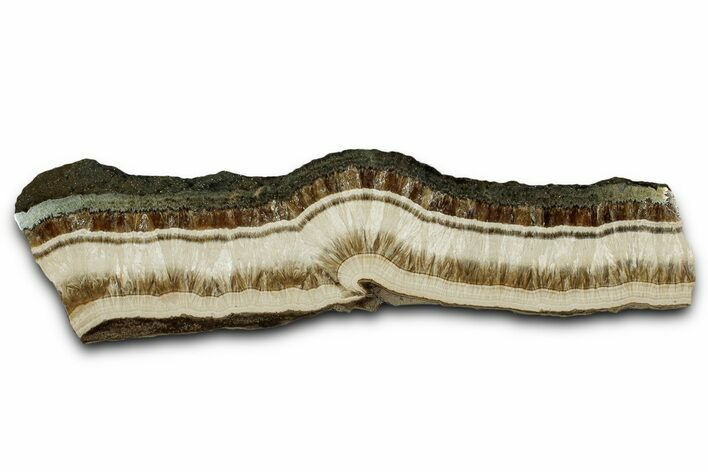 Polished Barite and Marcasite Slab - Lubin Mine, Poland #335170